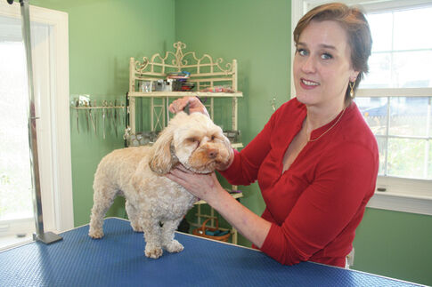 Dog groomer settles into cozy new office