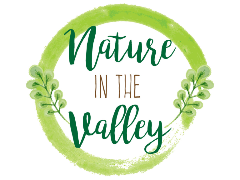 Nature in the Valley: Feeling thankful as the season nears