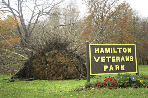 Hamilton feels Sandy’s wrath