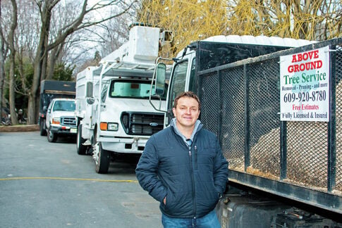 Superstorm no sweat for tree specialists