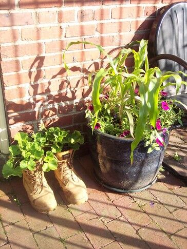 Gardening Adventures: Urban farming explores recycled materials