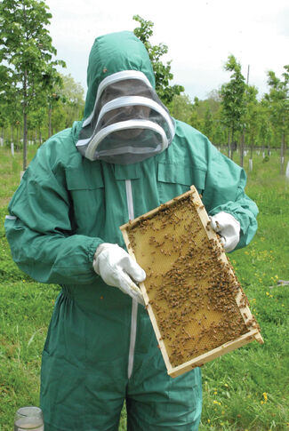 Lawrence beekeeper creates buzz