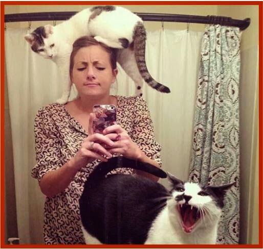 Show us your best pet selfies