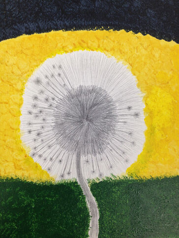 All Eyes on Nature exhibit to feature student artwork