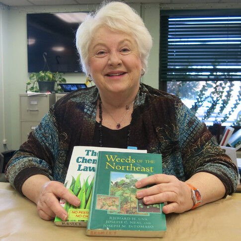 Master Gardeners to host lawn renovation talk