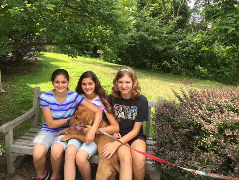 PDS students raise $4,500 for the animals at SAVE