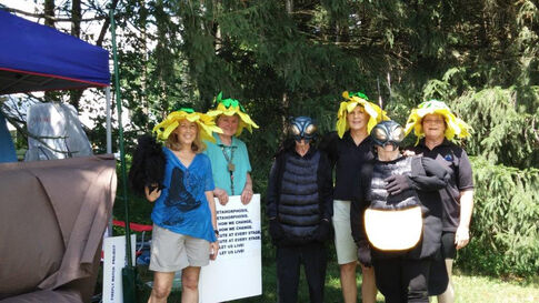 13th annual Insect Festival set for Sept 12