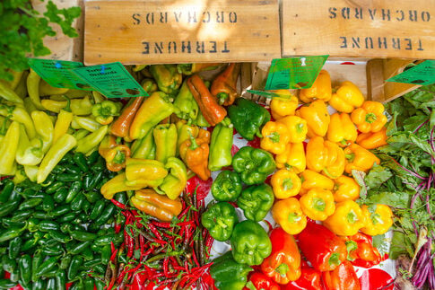 Behind the Scenes at the Princeton Farmers’ Market