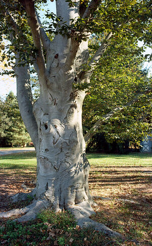 D&R Greenway to host photography exhibit by Roberta C. Scott