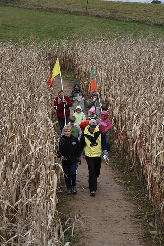 Howell Farm corn maze to open Sept 12