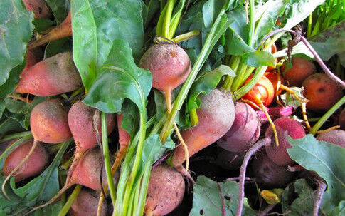 D&R Greenway to host Healthy Habits, Healthy Eating workshops