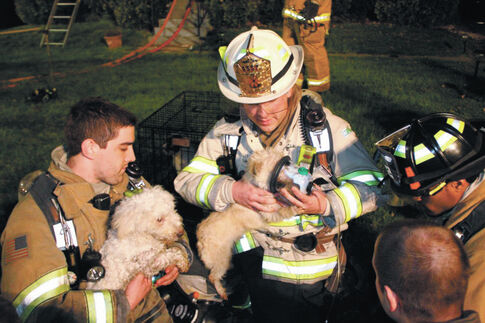 Helping precious pets breathe easier