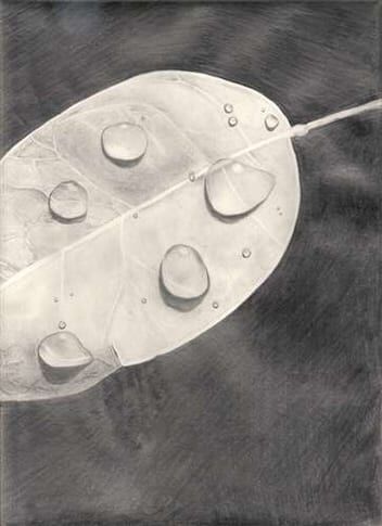Chapin School students receive Scholastic Art and Writing Awards