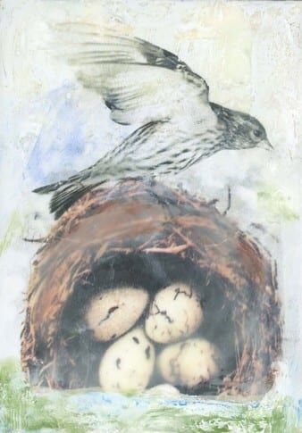 D&R Greenway to host Flight! exhibit