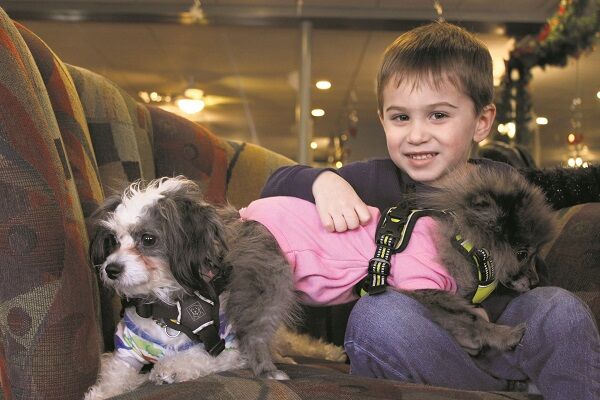 With a little puppy love, salon helps those with special needs