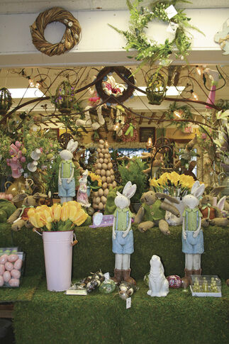 Dragonfly farms helps clients create beauty