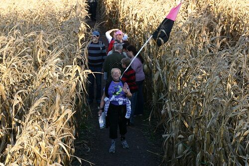 Howell Farm’s 20th Anniversary Maze opens Sept. 17