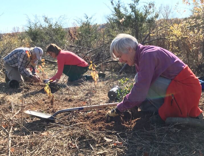 Volunteers work to restore habitat in Hopewell Borough Park