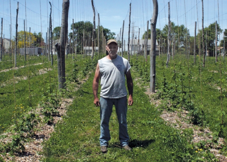 Laughing Hops farm taking root on Reed Road