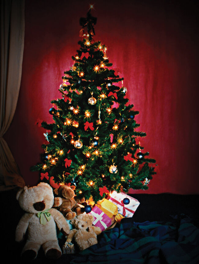 Hamilton school district’s Giving Trees provide lesson for students