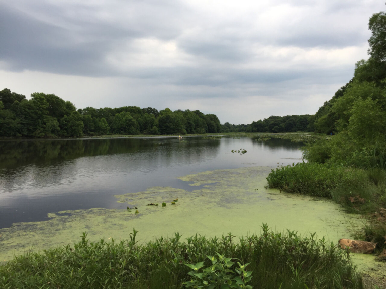Mercer parks commission holding second meeting May 9 on Dam Site 21