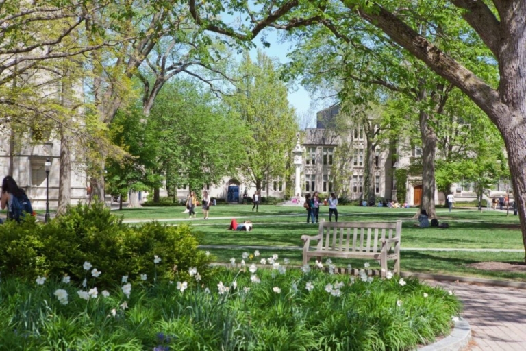 Princeton University to limit number of students on-campus