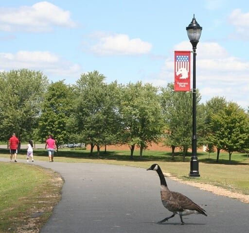 New Jersey parks set to reopen May 2