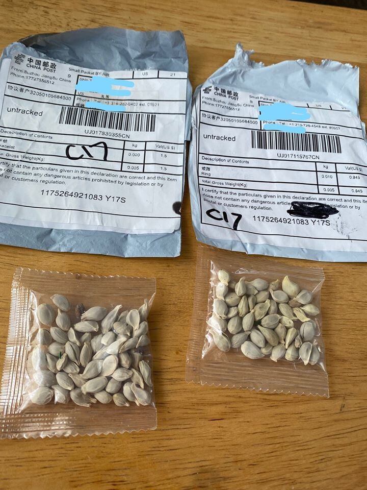 NJDA offers guidance on unsolicited mystery seeds