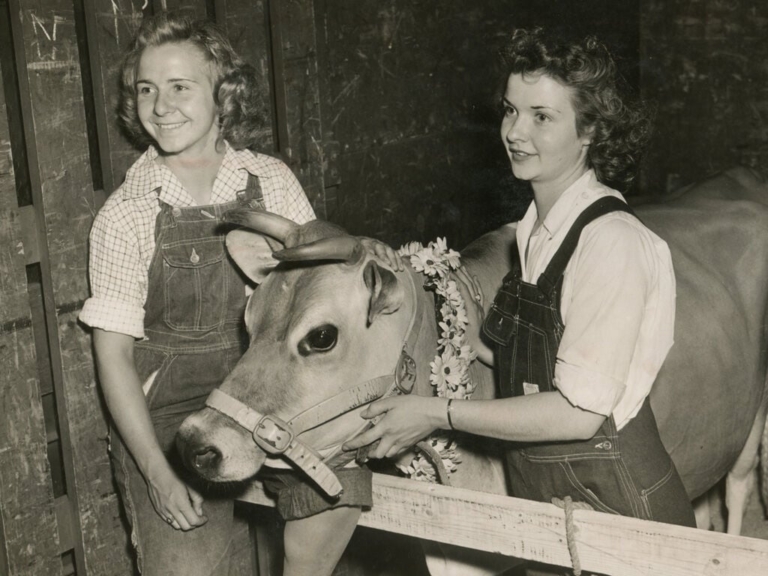 Iconic advertising symbol Elsie the Cow lived and died in Plainsboro
