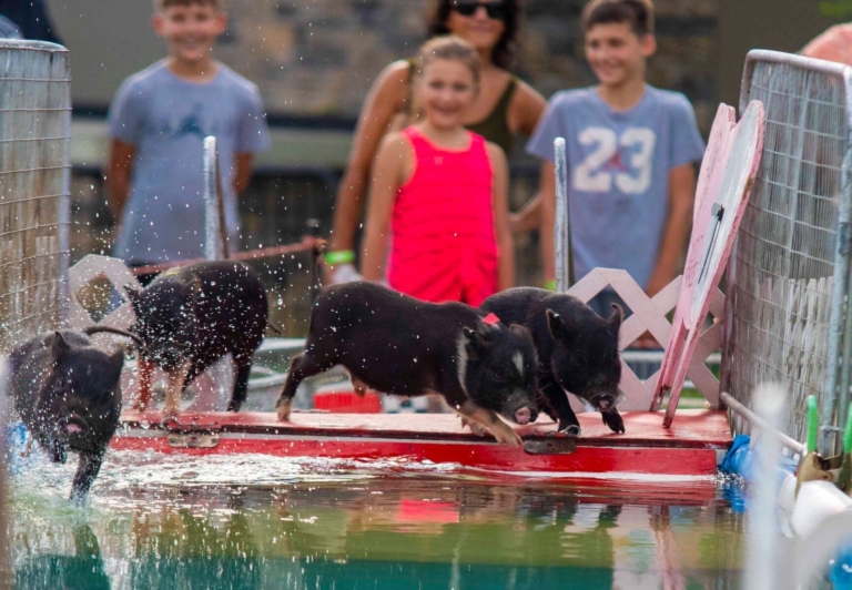Pub crawls and state fairs mark fun for the Fourth