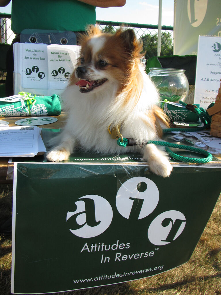 Attitudes in Reverse: Talking (and barking) it out