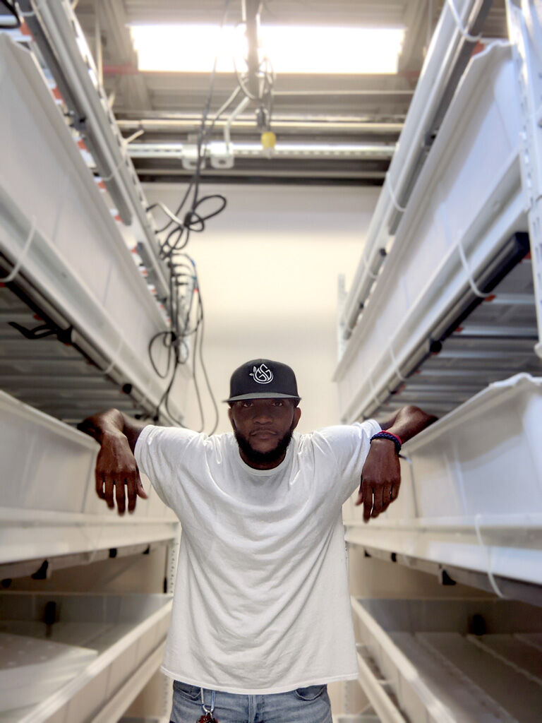 New hydroponic farm, Geo Greens, set to open in Hamilton