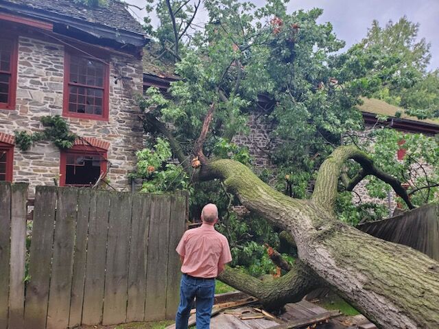Fallen tree causes damage to Old Barracks Museum