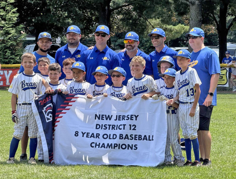 Hamilton Little League District teams enjoy another banner year