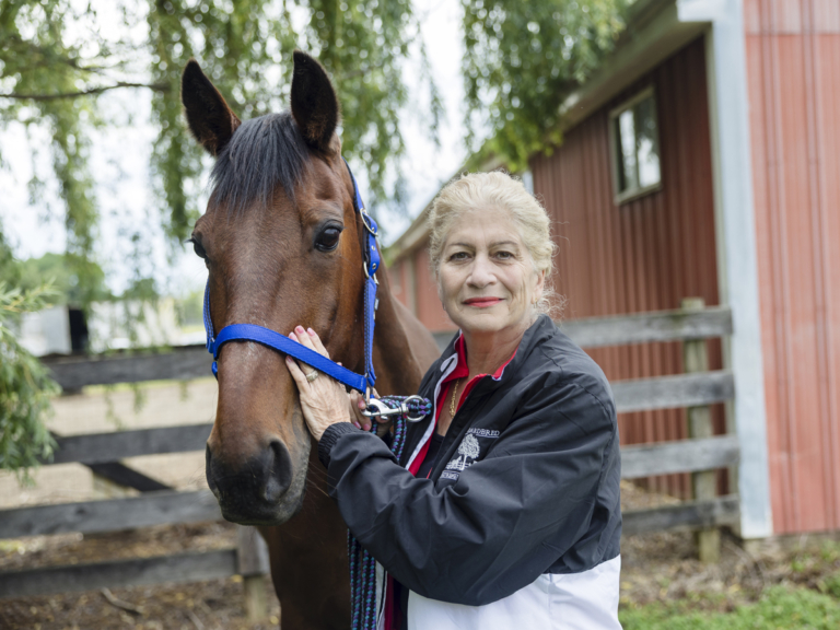 Foundation gives retired racehorses a future